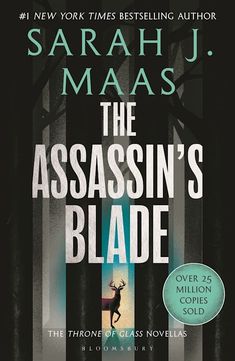 the book cover for the assassin's blade by sarah j maas, which is