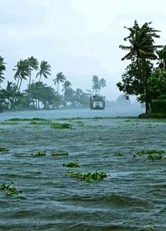 a boat is in the middle of some water with palm trees and bushes around it