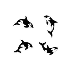 four black and white orca killer whale silhouettes on a white background, set of 4