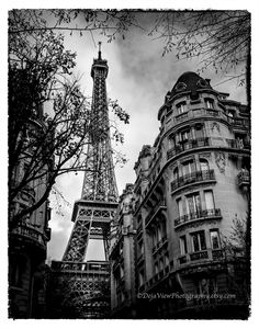 the eiffel tower towering over other buildings in black and white, with trees around it