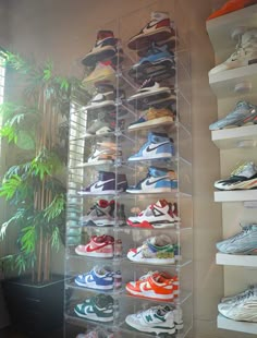 a large stack of shoes on display in a room next to a potted plant