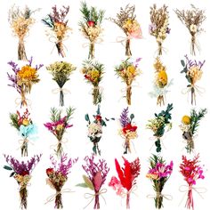 a bunch of flowers are tied together in different styles and colors on a white background