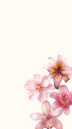 some pink flowers are in a vase on a table