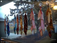 several different colored feathers hanging from a window