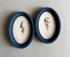 two framed pressed flowers in blue frames on a wall