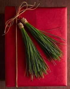 a red box with two green plants on it sitting on top of a wooden table