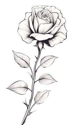 a black and white drawing of a rose