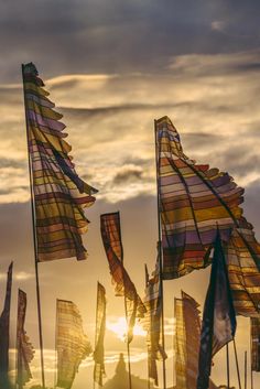 many flags are flying in the air at sunset