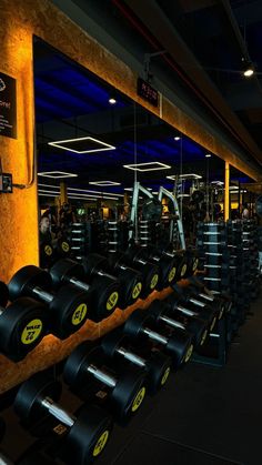 a gym with rows of black dumbs and yellow wheels on the wall next to each other