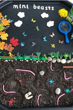 a black tray filled with dirt and plants