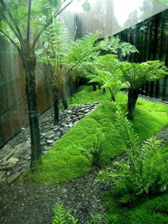 a garden with green plants and rocks in the ground, along side a wall that has a mirror on it