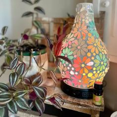 a colorful lamp sitting on top of a wooden table next to potted plants and bottles