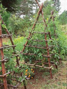 a wooden structure made out of branches in the middle of a garden with flowers and plants around it