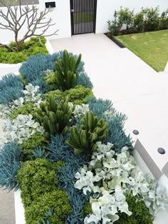 an image of a garden design with flowers and plants in the foreground, on instagram