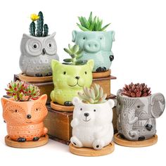 PRICES MAY VARY. Package Includes: You will get 6 pcs cute animal succulent planter pot with bamboo trays. All the flower pots are well packaged to make sure delivery safely and avoid damage during transit. Notes: PLANTS NOT INCLUDED! Adorable Size: Mini succulent pots are perfect for displaying small succulents, cactus, and herbs. The perfect size suitable for decorative gardening, desk, office, window, kitchen, balcony, bookshelf, dinning table and hosting room, etc. Premium Material: Our cute African Milk Tree, Cactus Card, Cute Planters, Flower Pot Indoor, Ceramic Succulent Pots, Ceramic Succulent Planter, Decorative Plants, Elephant Planters, Planting Pot