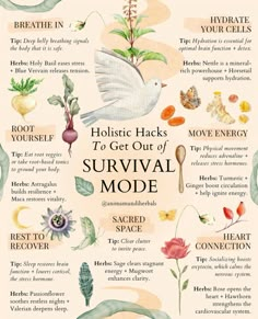 holistic hack | no survival mode | lifestyle | healthy way of living | breathe in | hydrate your cells | root yourself | move energy | sacred space | heart conection | rest to recover | Neetle | termeric | ginger | astragalus | rose | sage | Love Hormone, Lower Cortisol, Social Connection, Lower Cortisol Levels, Feminine Health, Natural Healing Remedies