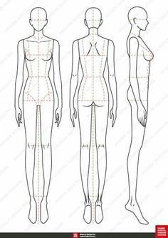 how to draw female body with measurements for the torso and head, from top to bottom