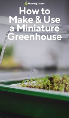 an image of how to make and use a miniature greenhouse with text overlay that reads, how to make & use a miniature greenhouse