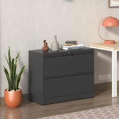 An upgrade to storage solutions may be achieved through the utilisation of our high-quality 2-Drawer Steel Lateral File Cabinet. The filing cabinet is crafted from 100% steel material, and in addition to its durability, it may also be perceived as an aesthetically sophisticated addition to any domestic or professional setting. Black File Cabinet, Modern File Cabinet, Organize Documents, Filing Cabinet Organization, Metal File Cabinet, Cabinet For Home Office, Drawer File Cabinet, Home Office Black, 2 Drawer File Cabinet