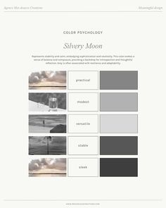 the color scheme for silver moon is shown in black and white, with different shades