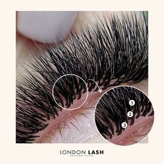 How to work with layers! 🔎😁 🔥The lash layers are PERFECTLY here 😍✨ 👉 On average, we have from 3 to 5 layers in our lash line, so working with layers will speed up your work AND will give you a much fuller completed look! 🤗🙌 Lash Layering, Lash Layers, Diy Eye Lash Extensions, Eyelash Extensions Aftercare, Lash Extension Supplies, Lash Kit, Eyelash Technician