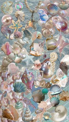 many different shells and seashells in the water