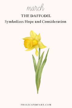 the daffodil symbolizes hope and contemplation in this march card