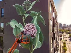 a mural painted on the side of a building depicts a plant with purple flowers and green leaves