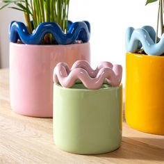 three pots with plants in them sitting on a wooden table next to other potted plants