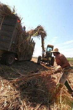 a man is working in a field with a tractor and trailer full of hay as the sun shines behind him