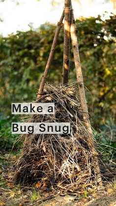 a sign that says make a bug snug, next to a pile of hay