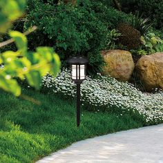 a light that is in the grass near some rocks and flowers with white flowers around it