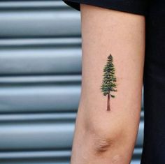 a small pine tree tattoo on the arm