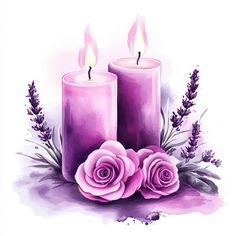 two candles with pink roses and lavenders on a white background, painted in watercolor