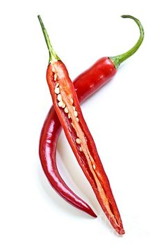 two red hot peppers on a white background with one pepper still attached to the other