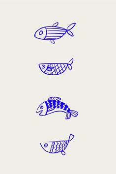 four different types of fish are shown in blue ink on a light gray background,