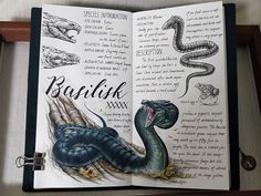 an open book with pictures of snakes and other things on it's pages