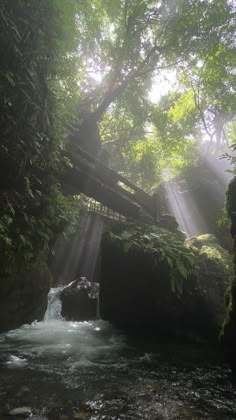 the sun shines through the trees and over a small waterfall in the forest, with a bridge above it