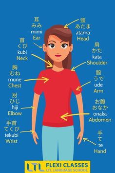 the anatomy of a woman's head and neck with words in english, chinese and japanese