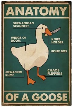 an anatomy of a goose poster