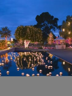 a pond filled with lots of lights next to a park covered in trees and bushes