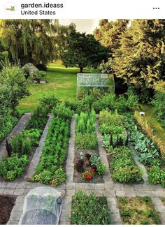 a garden with lots of different types of vegetables and plants growing in the area around it