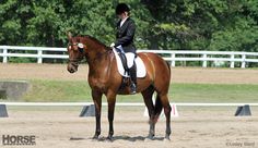 a person riding on the back of a brown horse in an arena with trees in the background