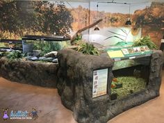 an exhibit in the shape of a rock with plants growing out of it and on display