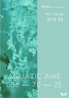 the aquatic awe poster for wgsn heat color's 55 / 25