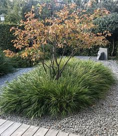 an outdoor garden with gravel, rocks and trees