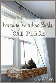 a cat sitting in a hanging window basket with the words hanging window basket cat perch above it