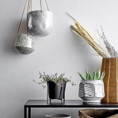 three vases with plants hanging from them on a shelf in front of a white wall