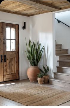 two plants are sitting on the floor in front of a door and some steps leading up to it