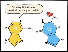 an image of two different types of vitamins and one with the word i'm sorry g, but we're base - really not a good match